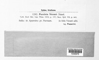Puccinia veratri image